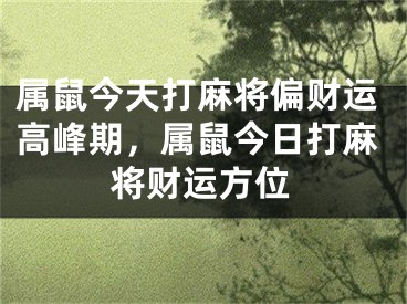 属鼠今天打麻将偏财运高峰期，属鼠今日打麻将财运方位