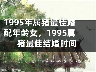 1995年属猪最佳婚配年龄女，1995属猪最佳结婚时间