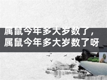 属鼠今年多大岁数了,属鼠今年多大岁数了呀
