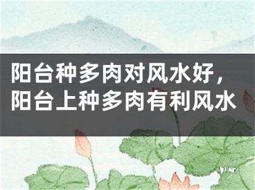 阳台种多肉对风水好，阳台上种多肉有利风水