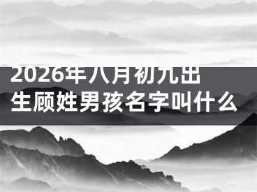 2026年八月初九出生顾姓男孩名字叫什么