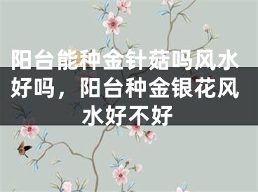 阳台能种金针菇吗风水好吗,阳台种金银花风水好不好