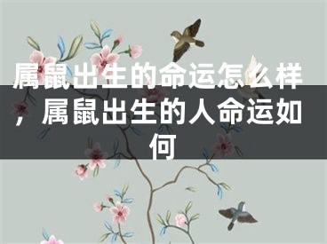 属鼠出生的命运怎么样,属鼠出生的人命运如何