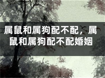 属鼠和属狗配不配,属鼠和属狗配不配婚姻
