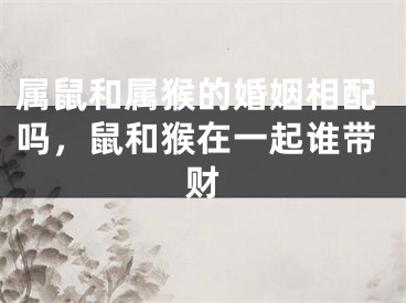 属鼠和属猴的婚姻相配吗,鼠和猴在一起谁带财