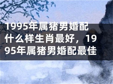 1995年属猪男婚配什么样生肖最好，1995年属猪男婚配最佳