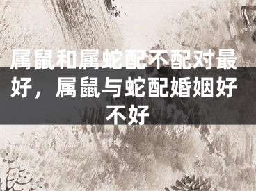 属鼠和属蛇配不配对最好,属鼠与蛇配婚姻好不好