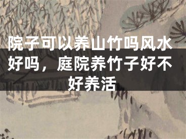 院子可以养山竹吗风水好吗,庭院养竹子好不好养活