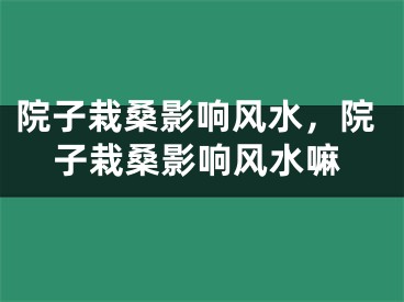 院子栽桑影响风水,院子栽桑影响风水嘛