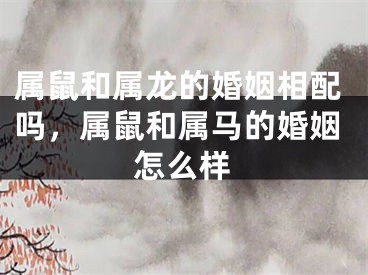 属鼠和属龙的婚姻相配吗,属鼠和属马的婚姻怎么样