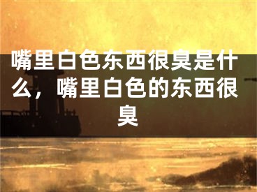 嘴里白色东西很臭是什么，嘴里白色的东西很臭