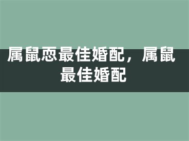属鼠恧最佳婚配，属鼠最佳婚配