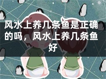 风水上养几条鱼是正确的吗,风水上养几条鱼好