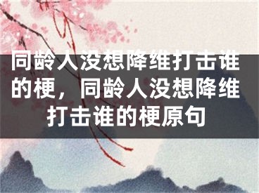 同龄人没想降维打击谁的梗，同龄人没想降维打击谁的梗原句