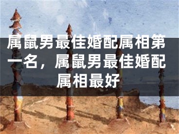 属鼠男最佳婚配属相第一名，属鼠男最佳婚配属相最好