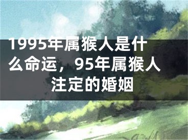 1995年属猴人是什么命运,95年属猴人注定的婚姻