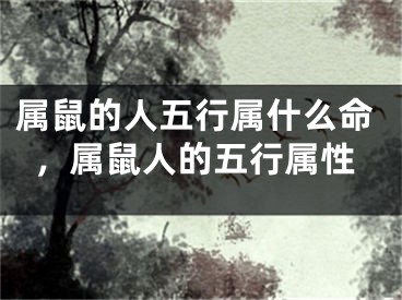 属鼠的人五行属什么命,属鼠人的五行属性