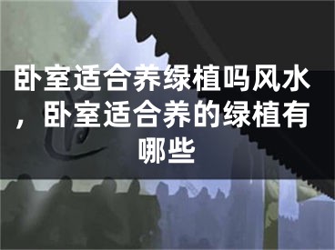卧室适合养绿植吗风水，卧室适合养的绿植有哪些