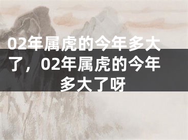 02年属虎的今年多大了,02年属虎的今年多大了呀