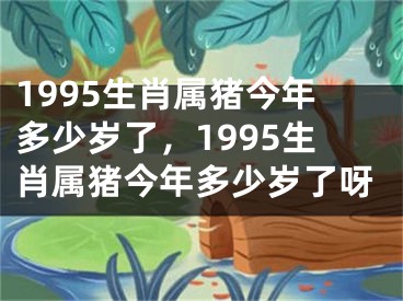 1995生肖属猪今年多少岁了，1995生肖属猪今年多少岁了呀