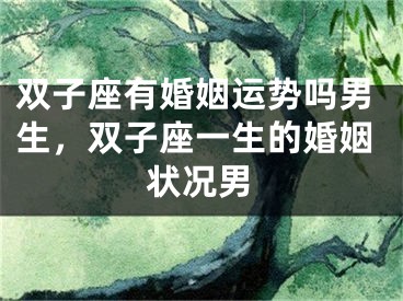 双子座有婚姻运势吗男生，双子座一生的婚姻状况男