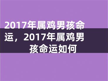 2017年属鸡男孩命运，2017年属鸡男孩命运如何
