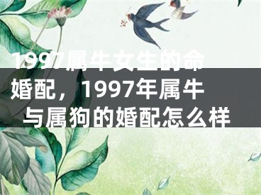 1997属牛女生的命婚配，1997年属牛与属狗的婚配怎么样