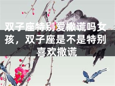 双子座特别爱撒谎吗女孩，双子座是不是特别喜欢撒谎