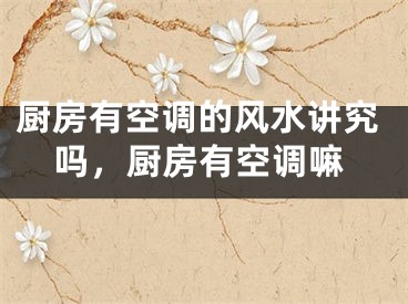 厨房有空调的风水讲究吗，厨房有空调嘛