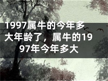 1997属牛的今年多大年龄了,属牛的1997年今年多大